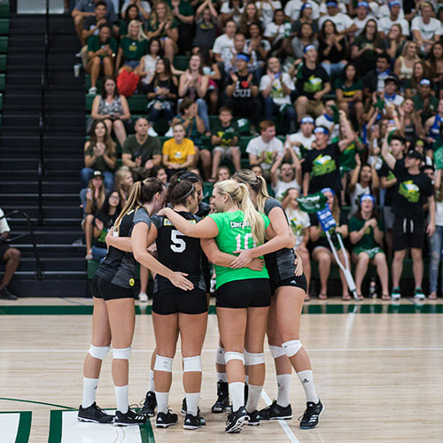 Volleyball team huddling